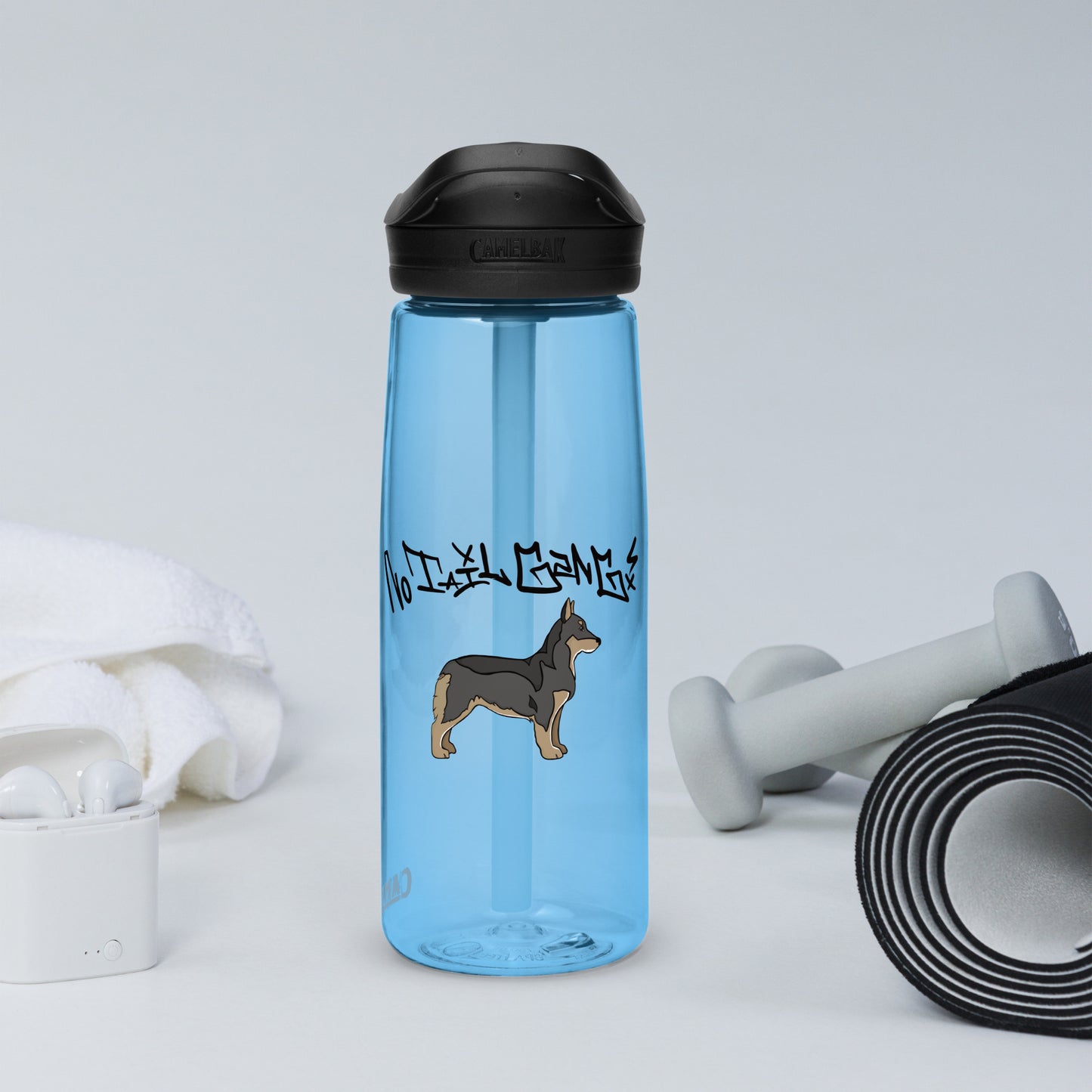 Sports water bottle