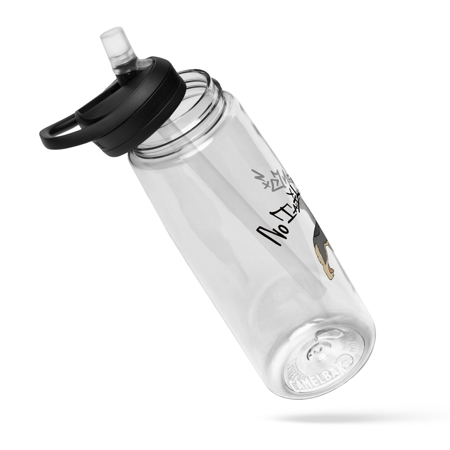 Sports water bottle