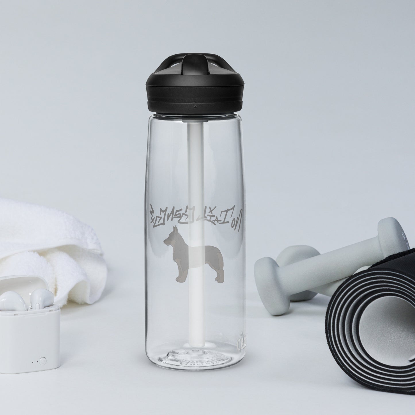 Sports water bottle